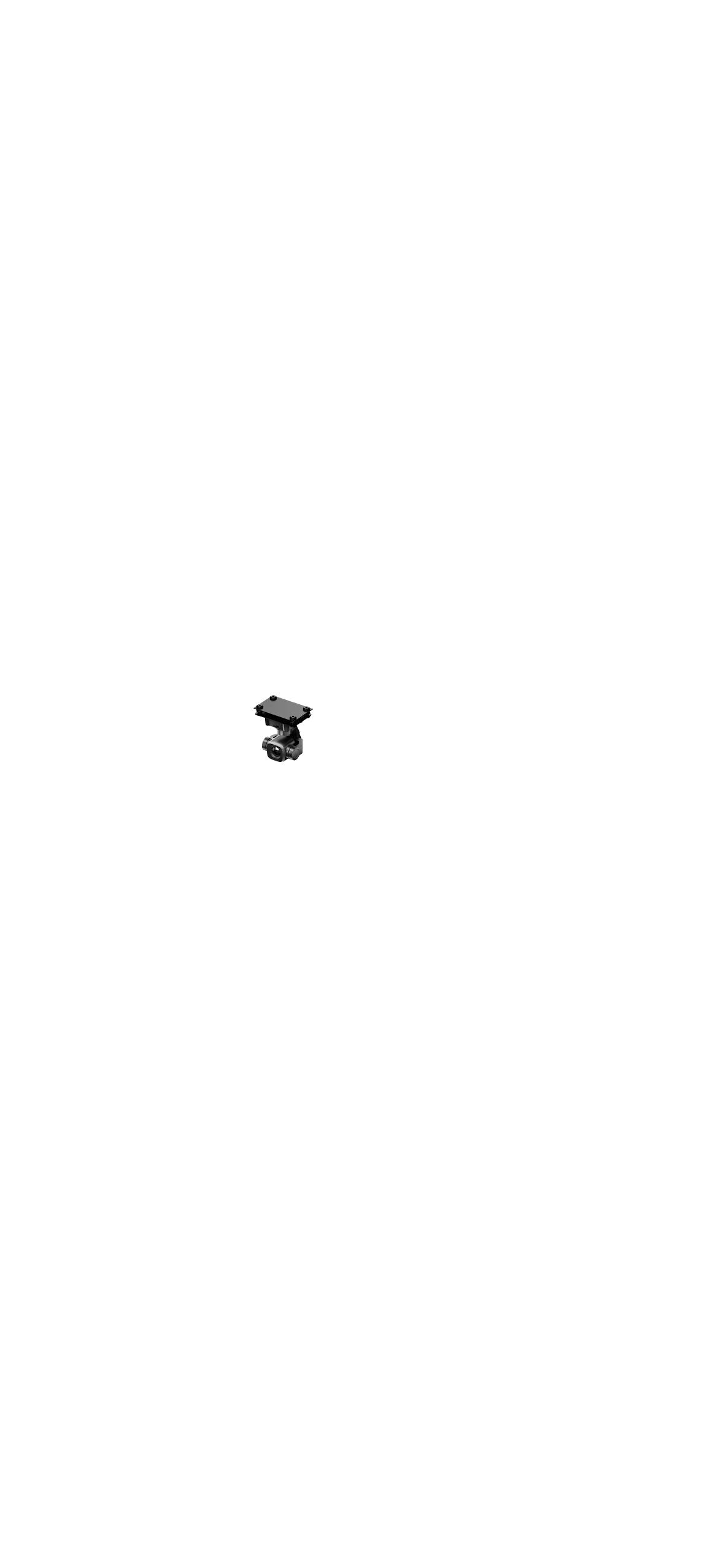 Gimbal Camera